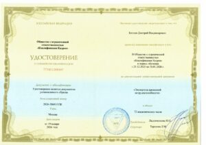 Блохин Дмитрий Владимирович — документ 4