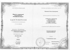 Медведева Алина Александровна — документ 6